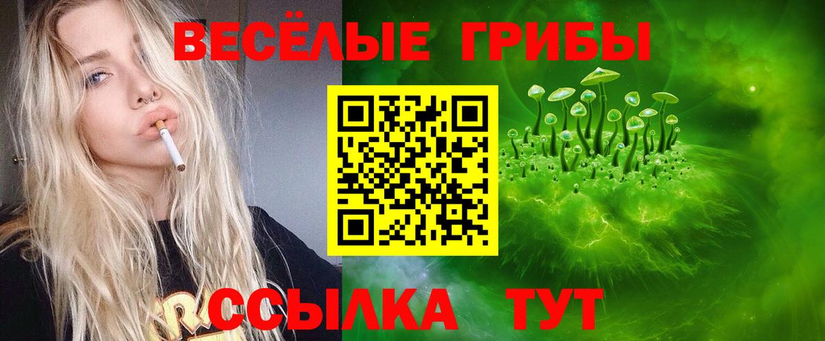 Псилоцибиновые грибы мицелий Саяногорск